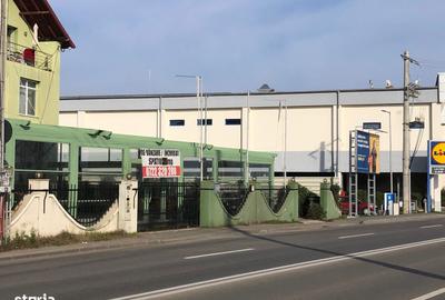 Spațiu comercial, de 225 mp, în Trivale - 7