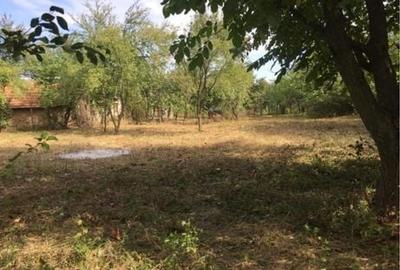 Teren de 1500 mp, în Carapancea