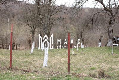 Teren Construcții intravilan de 1640 mp, în Racovița - 15