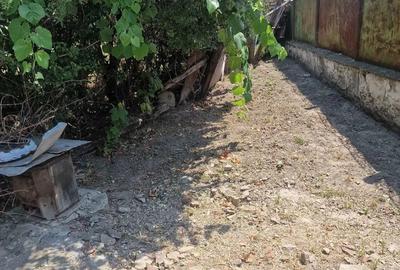 Casă cu 3 camere în Deta - 4