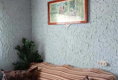 Casă cu 2 camere cu Teren 1900 Mp în Ciuturești - 7