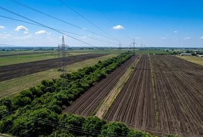 Teren Construcții extravilan de 5002 mp, în Glina - 6