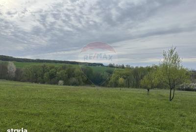Teren de 3000 mp, în Bodești - 4