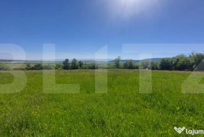 Teren de 36200 mp, în Măgheruș