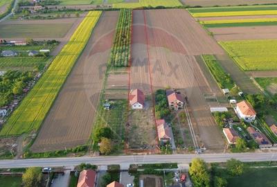 Casă cu 5 camere cu Teren 10400 Mp în Botiz - 1