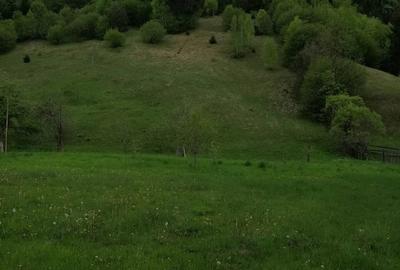 Teren de 3860 mp, în Podu Dâmboviței