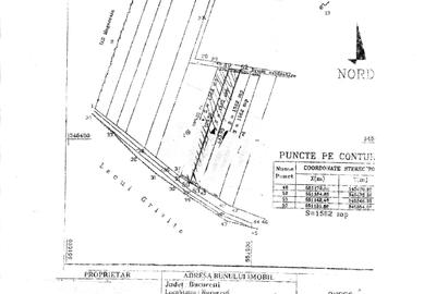Teren Construcții intravilan de 3124 mp, în Sisești - 2