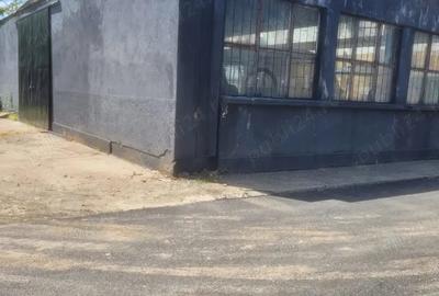 Spațiu comercial, de 558 mp, în Buzaului - 1