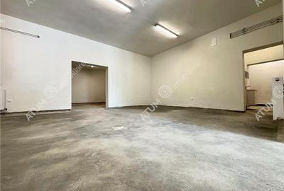 Spațiu comercial, de 380 mp, în Terezian - 30