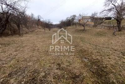 Teren de 1944 mp, în Pianu - 1