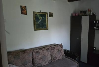 Casă cu 3 camere cu Teren 2700 Mp în Ciurari - 8