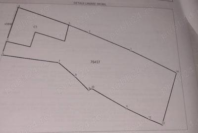Casă cu 4 camere cu Teren 766 Mp în Geoagiu - 4