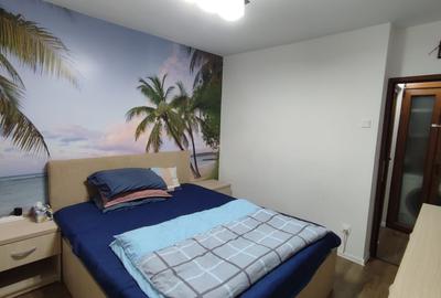 Apartament cu 3 camere decomandat în Siderurgiștilor - 8