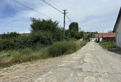 Spațiu comercial, în Șura Mare - 4