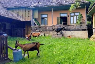 Casă individuală cu 2 camere cu Teren 991 Mp în Soveja - 1