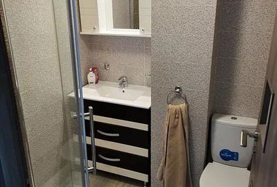 Apartament cu 2 camere, mobilat în Banu Manta - 2