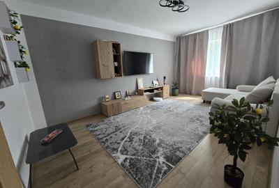 Apartament cu 3 camere decomandat în Paltiniș - 1