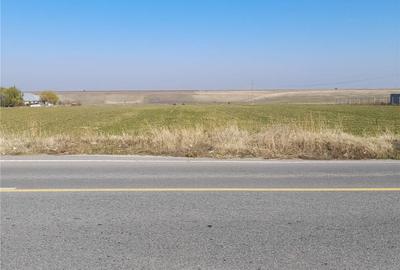 Teren de 15000 mp, în Sud - 2