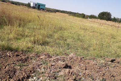 Teren de 1000 mp, în Grădiștea - 1