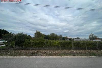 Teren de 1000 mp, în Iazurile - 3
