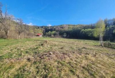 Teren de 2500 mp, în Central - 2