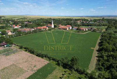 Teren Construcții intravilan de 16716 mp, în Petrovaselo - 6