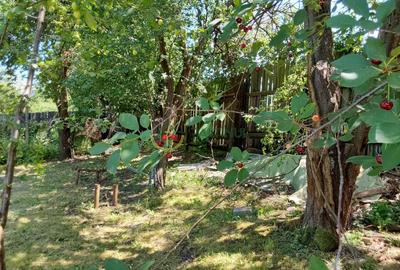 Casă individuală cu 3 camere cu Canalizare în Armeni - 8