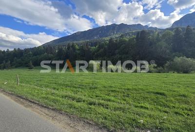 Teren Construcții intravilan de 7600 mp, în Vest - 14