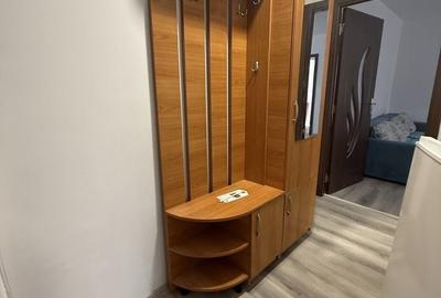 Apartament cu 2 camere nedecomandat, mobilat în Șagului - 11