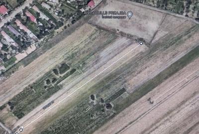 Teren de 3200 mp, în Sud