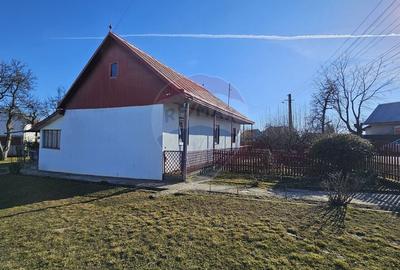 Casă cu 3 camere cu Teren 4900 Mp în Central - 10