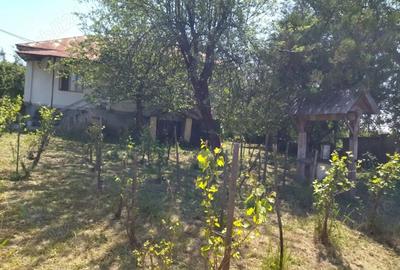 Casă cu 3 camere cu Teren 1300 Mp în Oveselu - 6