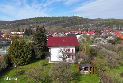 Casă cu 6 camere cu Teren 1632 Mp în Albești - 12