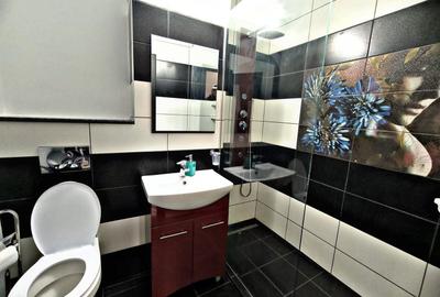 Apartament cu 2 camere decomandat, mobilat în Camil Ressu - 7