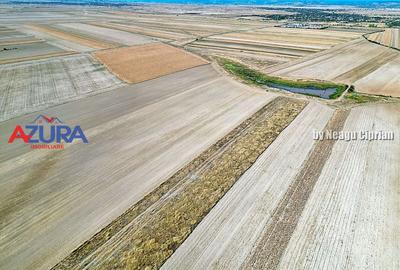 Teren agricol extravilan de 47200 mp, în Căteasca - 6