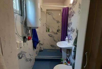 Casă cu 2 camere cu Teren 2870 Mp în Sântandrei - 1