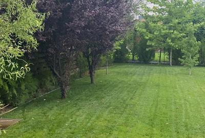 Casă individuală cu 5 camere cu Teren 1000 Mp în Corbeanca - 6