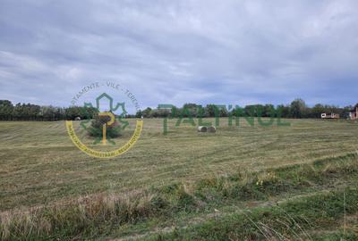Teren Construcții intravilan de 649 mp, în Sadu - 12