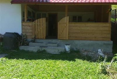 Teren de 2000 mp, în Bradu