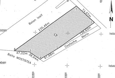 Teren Construcții intravilan de 15000 mp, în Ștefăneștii de Jos - 1