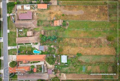 Casă individuală cu 4 camere cu Piscina în Peciu Nou - 16
