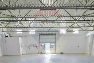 Spațiu industrial, de 10,129 mp, în Exterior Vest - 7