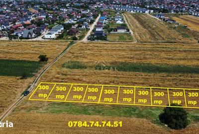 Teren de 300 mp, în Berceni - 3