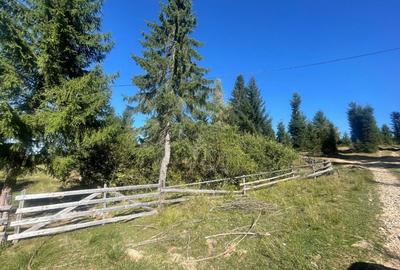 Teren Construcții intravilan de 1500 mp, în Dealu Negru - 2