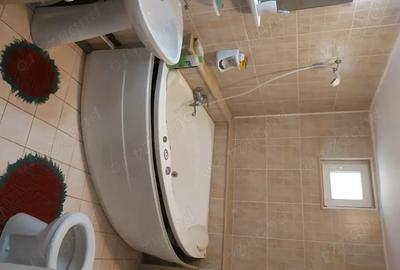 Casă cu 3 camere cu Teren 1683 Mp în Băgara - 8
