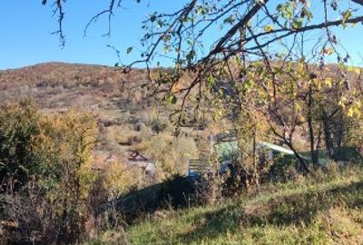 Teren Construcții intravilan de 5400 mp, în Drăgăneasa - 8