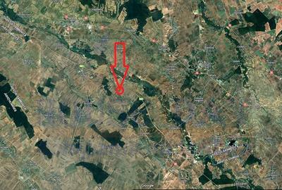 Teren agricol intravilan de 12400 mp, în Olteni (Uliești) - 3