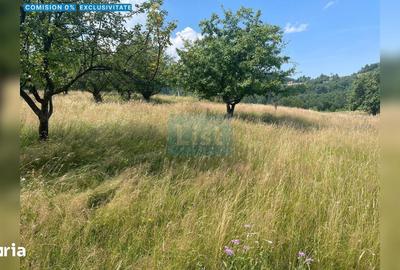 Teren de 20000 mp, în Săcuieu
