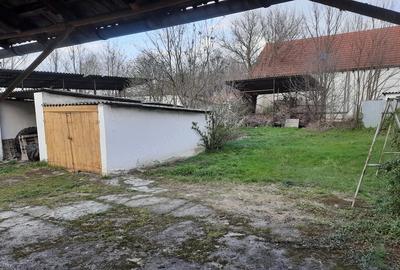 Casă cu Teren 800 Mp în Cenei