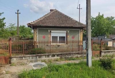 Casă cu Teren 2800 Mp în Pișcolt
